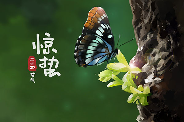 工程劳务承包合同未签订怎么办